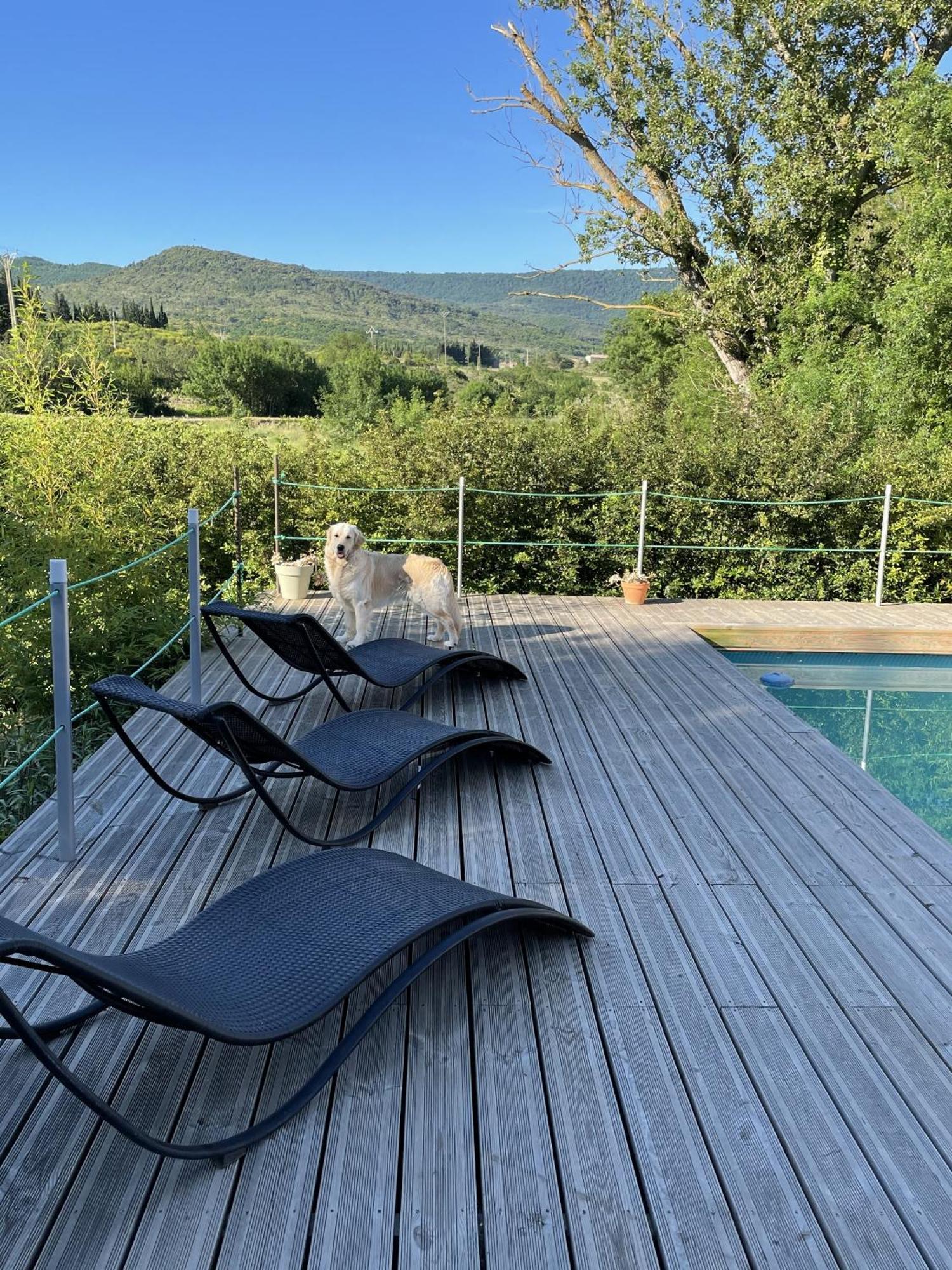 Le Domaine De La Tuilerie - Gite De Charme En Bord De Riviere Avec Piscine Servies-en-Val Экстерьер фото