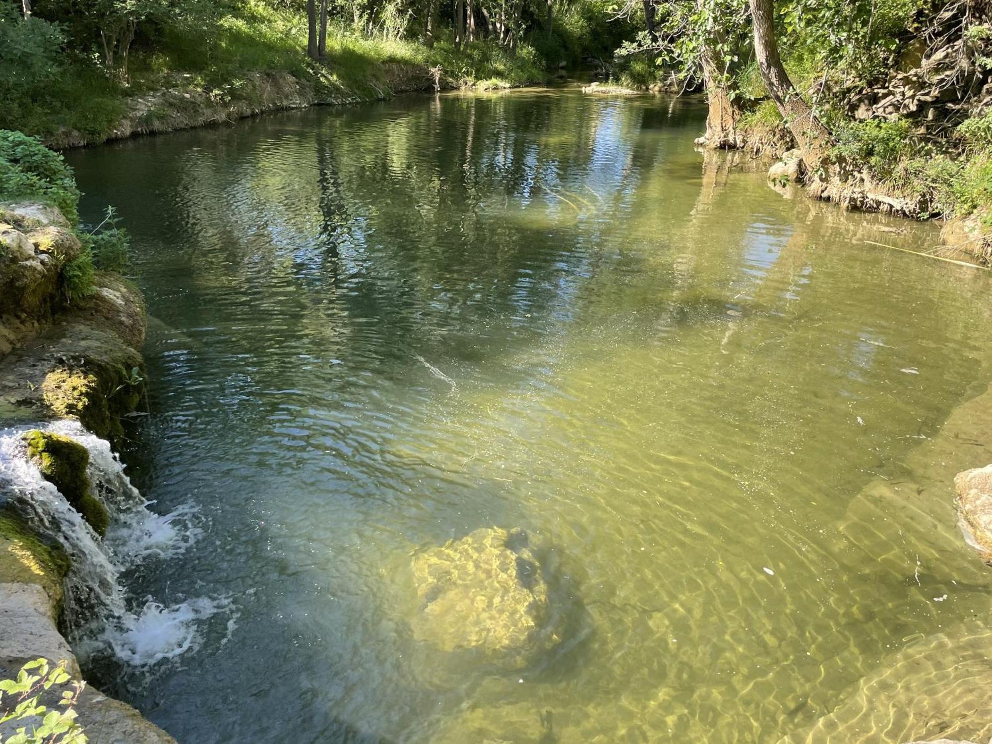 Le Domaine De La Tuilerie - Gite De Charme En Bord De Riviere Avec Piscine Servies-en-Val Экстерьер фото