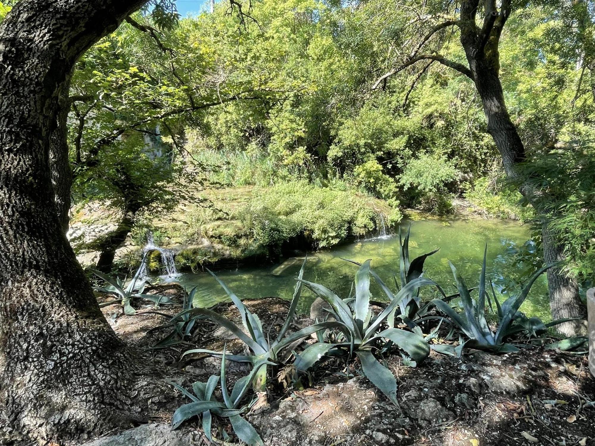 Le Domaine De La Tuilerie - Gite De Charme En Bord De Riviere Avec Piscine Servies-en-Val Номер фото